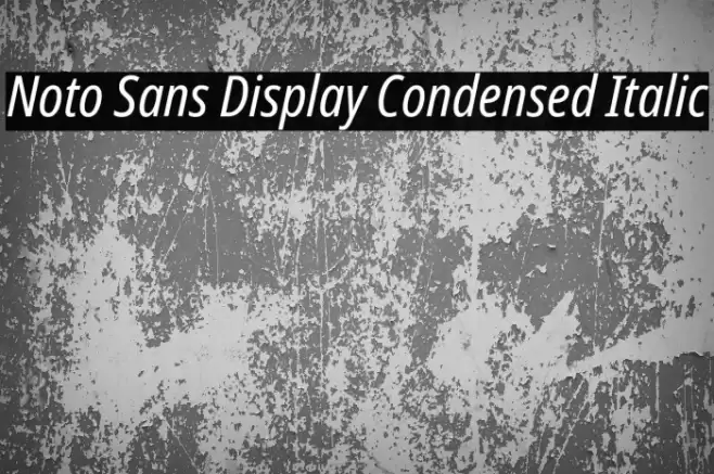 Noto Sans Display Condensed Italic Font examples
