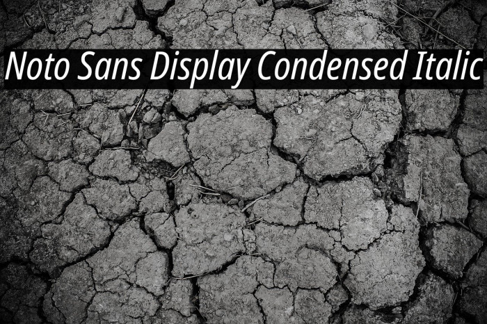 Noto Sans Display Condensed Italic Font examples