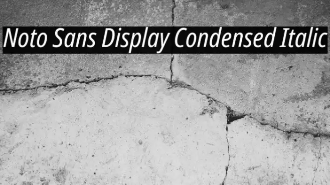 Noto Sans Display Condensed Italic Font examples