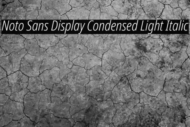 Noto Sans Display Condensed Light Italic Font examples