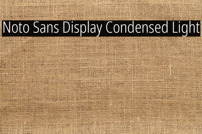Noto Sans Display Condensed Light Font examples