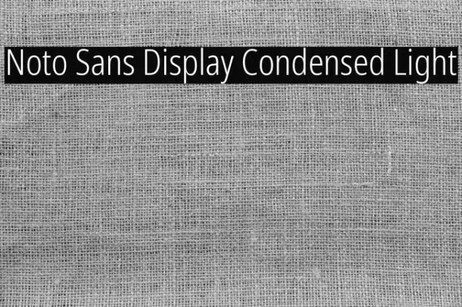 Noto Sans Display Condensed Light Example 1