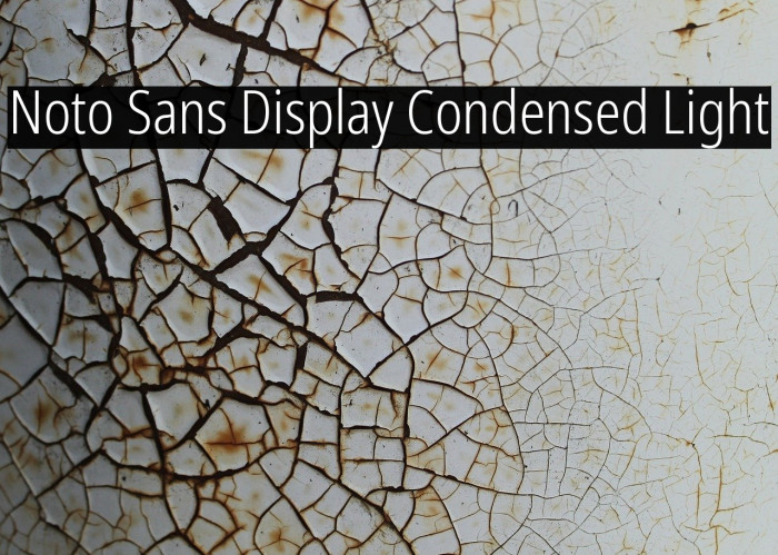 Noto Sans Display Condensed Light Font examples