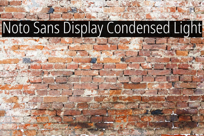 Noto Sans Display Condensed Light Font examples
