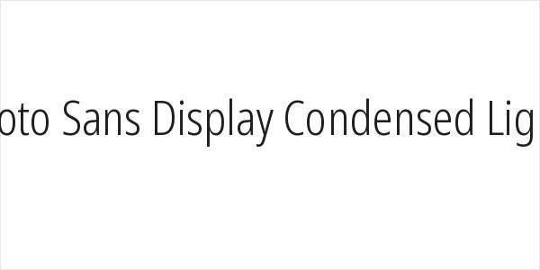 Noto Sans Display Condensed Light Logo