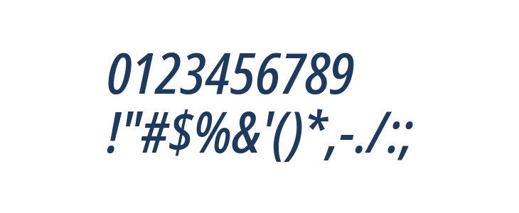 Noto Sans Display Condensed Medium Italic Other Characters