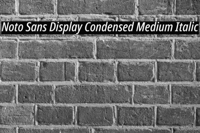 Noto Sans Display Condensed Medium Italic Font examples