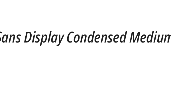 Noto Sans Display Condensed Medium Italic Logo