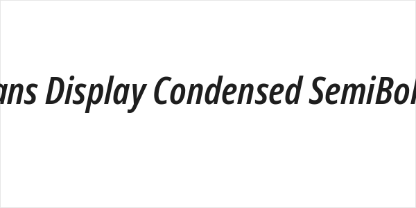 Noto Sans Display Condensed SemiBold Italic Logo