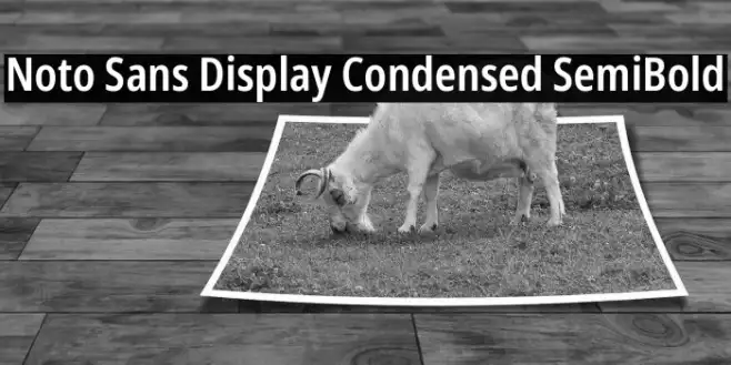Noto Sans Display Condensed SemiBold Example 1