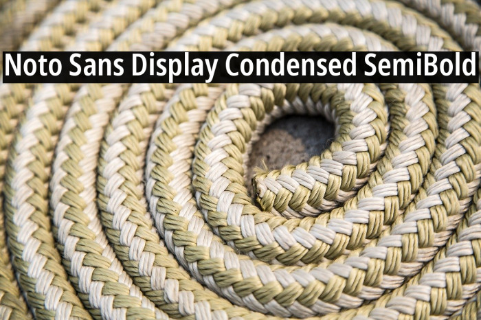 Noto Sans Display Condensed SemiBold Font examples