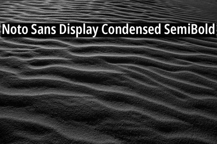 Noto Sans Display Condensed SemiBold Font examples