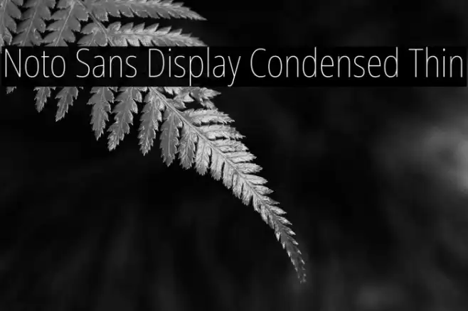Noto Sans Display Condensed Thin Example 3