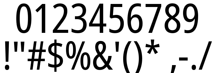 Noto Sans Display Condensed Font OTHER CHARS