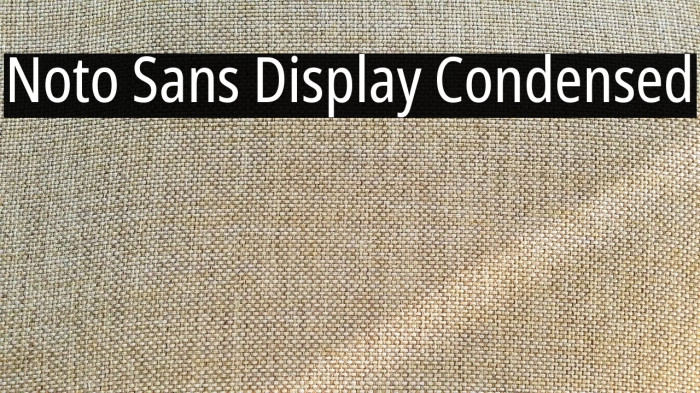Noto Sans Display Condensed Font examples