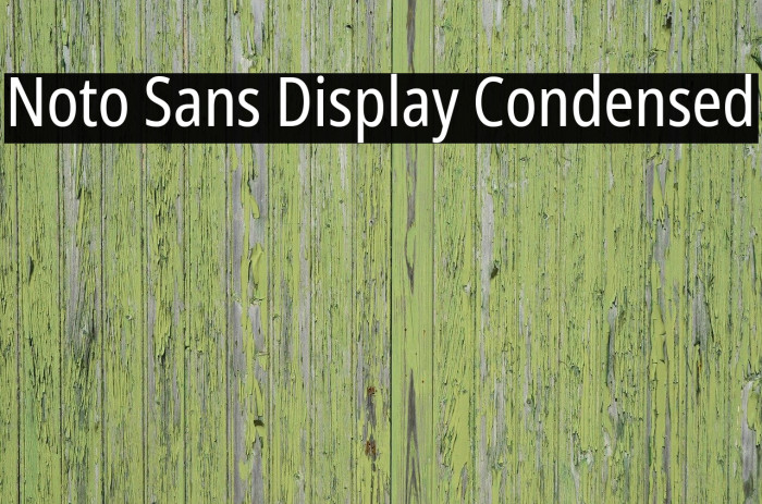 Noto Sans Display Condensed Font examples