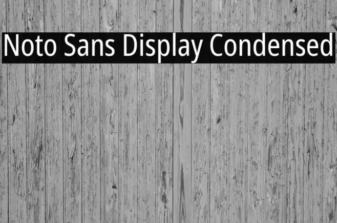 Noto Sans Display Condensed Example 2