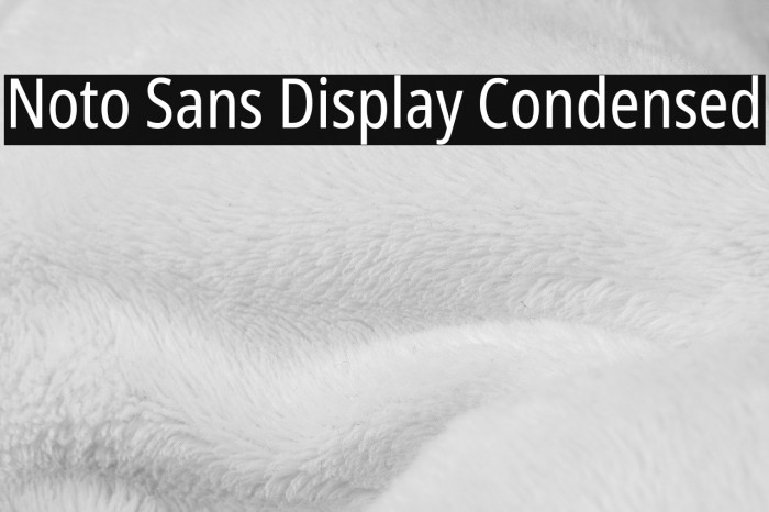 Noto Sans Display Condensed Font examples
