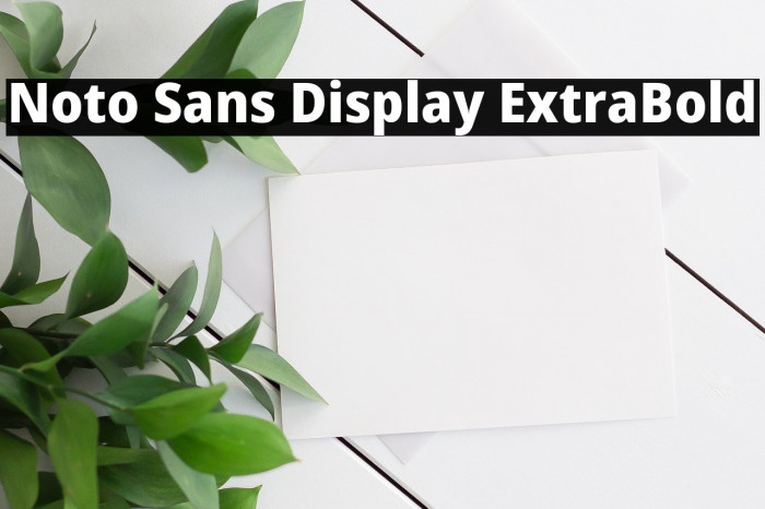 Noto Sans Display ExtraBold Font examples