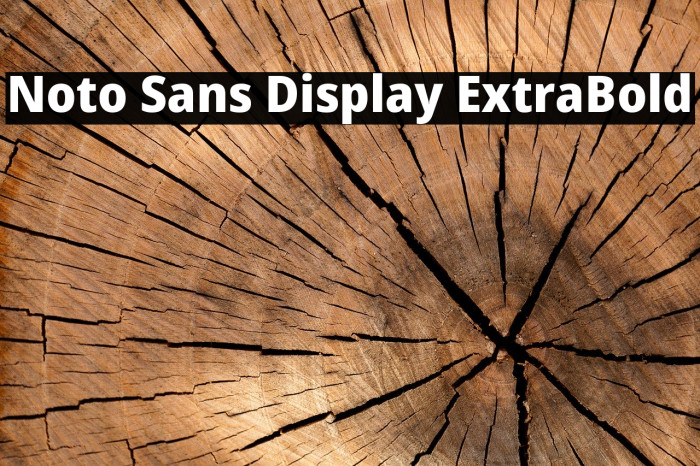 Noto Sans Display ExtraBold Font examples