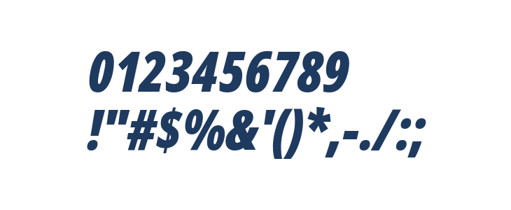 Noto Sans Display ExtraCondensed Black Italic Other Characters