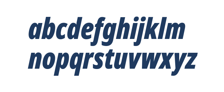 Noto Sans Display ExtraCondensed Black Italic Lowercase