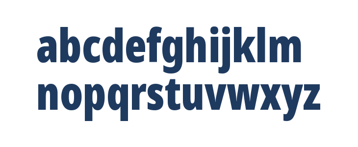 Noto Sans Display ExtraCondensed Black Lowercase