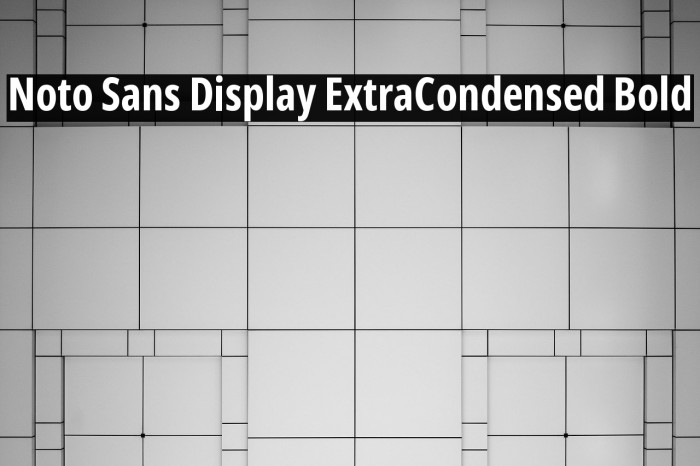 Noto Sans Display ExtraCondensed Bold Font examples