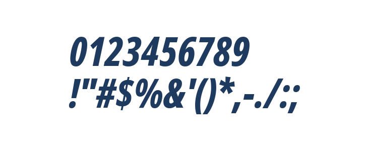 Noto Sans Display ExtraCondensed ExtraBold Italic Other Characters