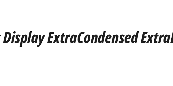 Noto Sans Display ExtraCondensed ExtraBold Italic Logo