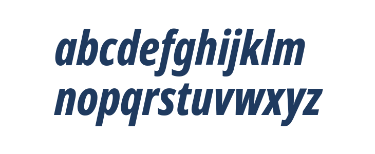 Noto Sans Display ExtraCondensed ExtraBold Italic Lowercase
