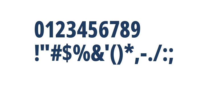 Noto Sans Display ExtraCondensed ExtraBold Other Characters