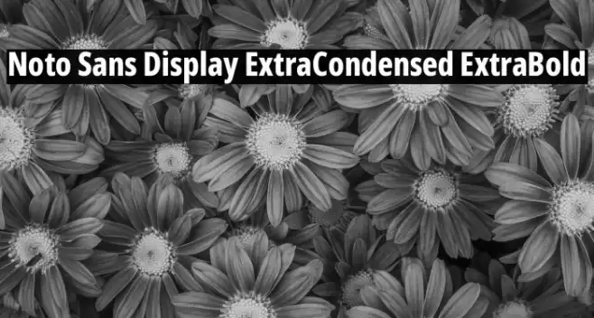 Noto Sans Display ExtraCondensed ExtraBold Font examples