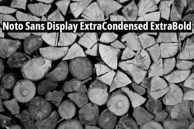Noto Sans Display ExtraCondensed ExtraBold Font examples