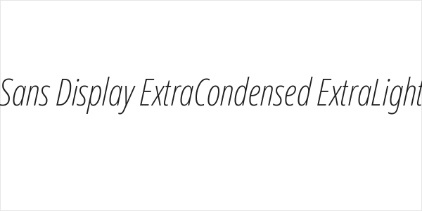 Noto Sans Display ExtraCondensed ExtraLight Italic Logo