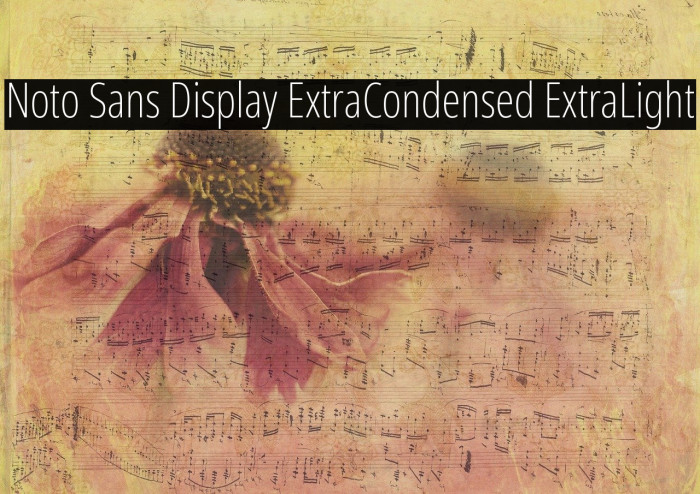 Noto Sans Display ExtraCondensed ExtraLight Example 1