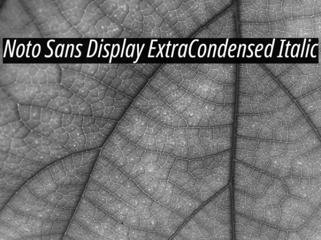 Noto Sans Display ExtraCondensed Italic Example 1