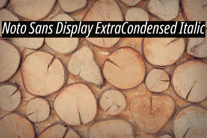 Noto Sans Display ExtraCondensed Italic Font examples