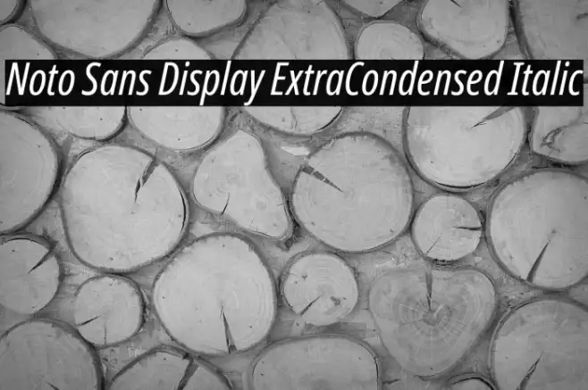 Noto Sans Display ExtraCondensed Italic Example 2