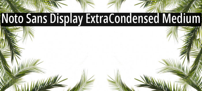 Noto Sans Display ExtraCondensed Medium Font examples