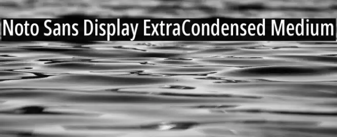 Noto Sans Display ExtraCondensed Medium Font examples
