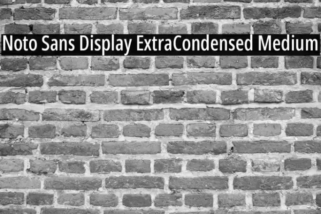 Noto Sans Display ExtraCondensed Medium Font examples