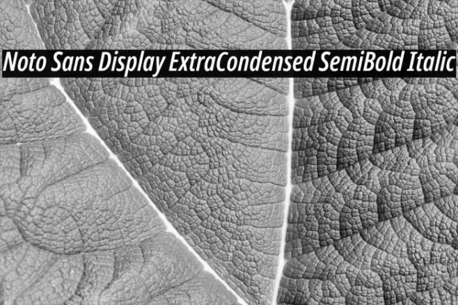 Noto Sans Display ExtraCondensed SemiBold Italic Font examples