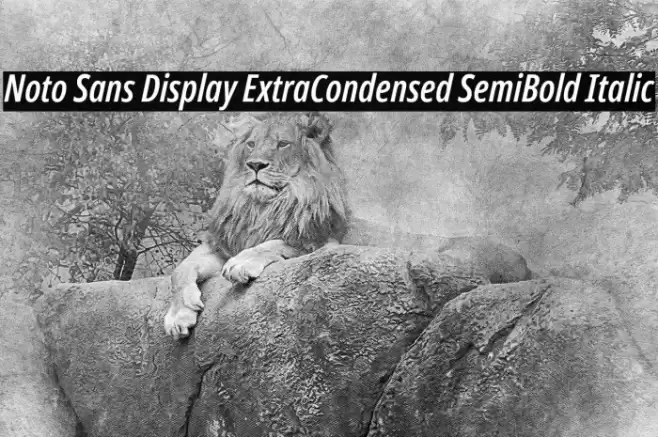 Noto Sans Display ExtraCondensed SemiBold Italic Font examples