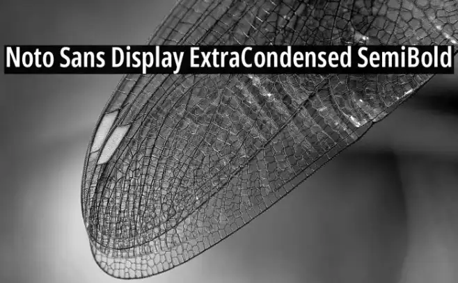 Noto Sans Display ExtraCondensed SemiBold Example 1