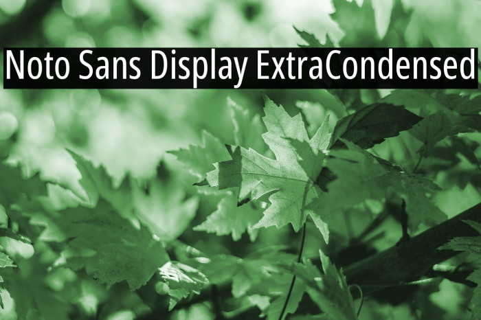 Noto Sans Display ExtraCondensed Example 1
