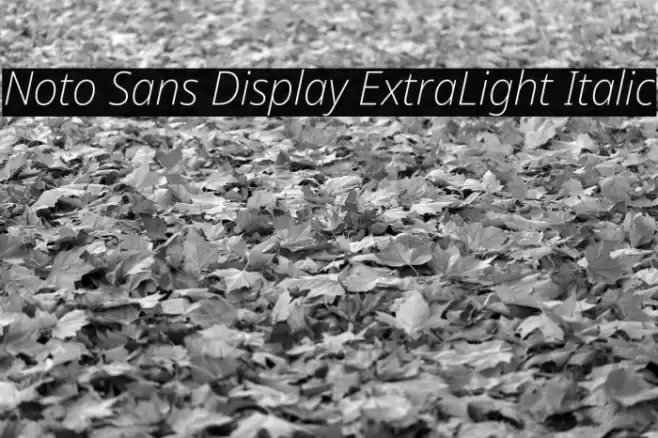 Noto Sans Display ExtraLight Italic Font examples
