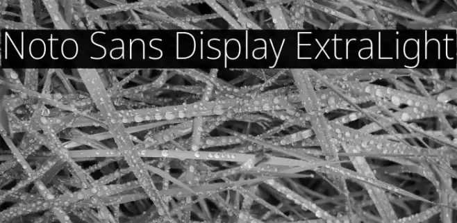 Noto Sans Display ExtraLight Font examples