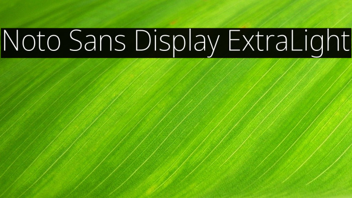 Noto Sans Display ExtraLight Example 3