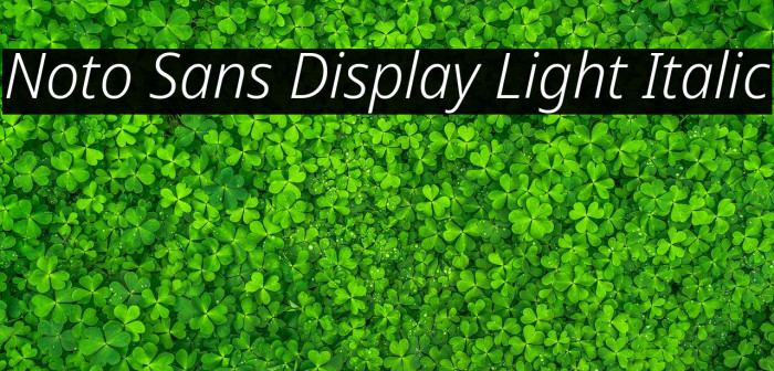 Noto Sans Display Light Italic Font examples